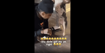 Stud Loss A Bet And Had Throat Her Homie Dog After She Didn’t Want To Throat A Real D Because That Would Be Against Bro Code!