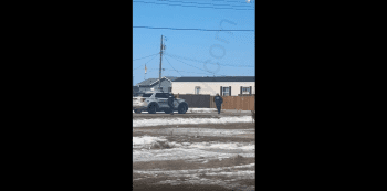 Dude Really Out Here Risking His Life With Police!