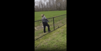 Aggressive Raccoon Eats Multiple 9mm Bullets From Female Security Guard!