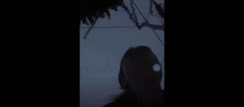 Did She Get Away: Snowbunny Takes Police On A High Speed Chase And Hides From Them Close By With A k9 Close To Her!