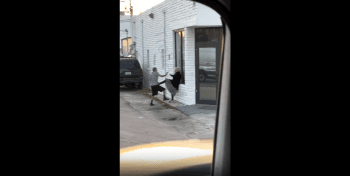 Old Man Got Tired Of This Woman Harassing Him And Took Matters Into His Own Hands