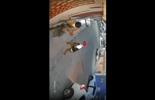 They Putting In Work On The Opps In Mexico!