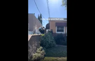 They Tased Him And It Still Didn’t Take Him Down