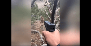 Dude Didn’t Even Let Out A Warning Shot Before Taking Down This Mountain Lion