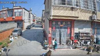 Pig Came Back For Get Back On This Family