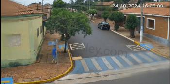 When Ignoring A Falling Tree Goes Wrong For A Old Man