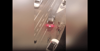 Dude Just Witness His Friendly Neighbors Violating Somebody Car During A Heated Altercation