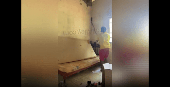 Bro Went Thru All This Just To Capture This Mouse