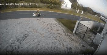 Dude Armed With A Panga Ranned Down On A Elderly Couple That Was Walking And Took Their Hats