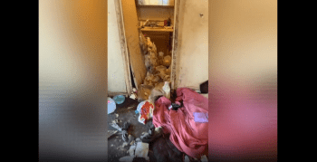 Woman Went To Go Collect Rent And Found This