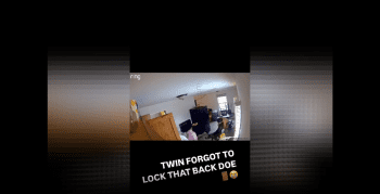 Bro Accidentally Left The Back Door Unlock Around Two Pitbulls That Didn’t Like Each Other And This Happened