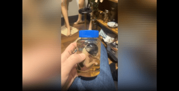 Girl Mind Was Blown After She Seen A Preserved Bully Pup In A Jar And Was Still Standing, After It Died Years Ago