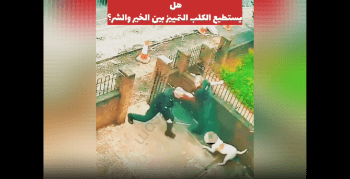 Dog Police Will Never Visit This House Anymore