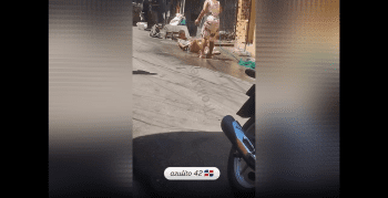 Woman Helping A 304 Clean Her Box With A Water Hose For Her Next Customer