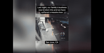Group Of Thieves Caught On Camera Draining A Liquor Store For Everything