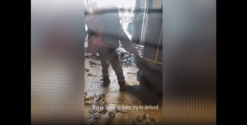 They Let This Happen In New York Deli Stores