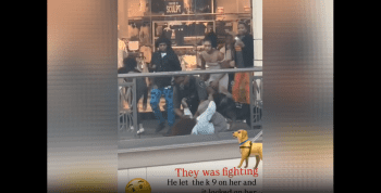 Mall Cop Sent His k9 Dog To Stop A Woman From Fighting, And The Dog Locked On To Her Leg And Wouldn’t Let Go