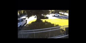 Is He Still Alive? They Shot Him In The Car And Throwed Him Out And Double Back To Finish Him Off By Running Him Over