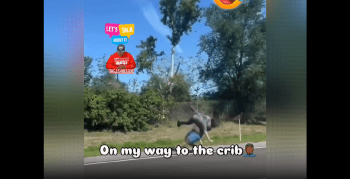 Dude Seen A Guy Getting Body Slammed During A Intense Road Rage