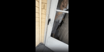 Mother Goes Insane After She Found Out This Woman Had Her Kidnapped Daughter And Had Her Address Blurred Out On Google