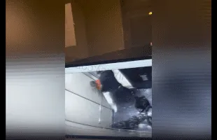 Dude Beat Up A Random Guy That Tried To Get On The Elevator With Him And His Bike