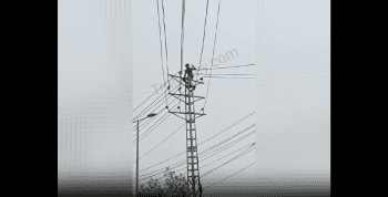 When Climbing A Electric Pole Goes Wrong For A Man