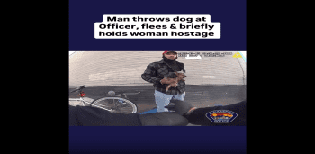 Police Arrest Man After He Threw A Dog At Them And Tried To Run