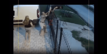 Dude Gets Caught Breaking Into A Car By Owners And Tried To Get Away But Failed