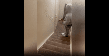 Woman Pulled Up To Break Her Boyfriend Out Of His Babymother House After He Went Over There To Cool Off