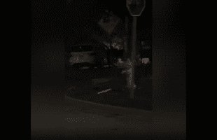 Dude Caught A Couple Doing This On A Dark Street And Thought Nobody Was Looking