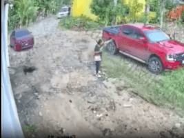 Woman Gets Karma After She Tried To Take Out A Cartel Hitman Member