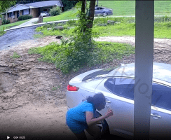 Girl Chose To Come Outside On The Wrong Day And This Happened