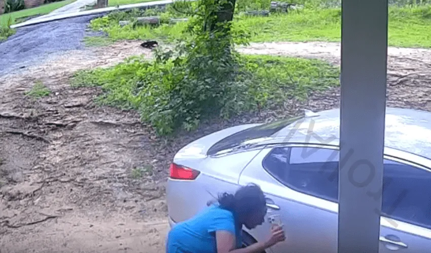 Girl Chose To Come Outside On The Wrong Day And This Happened