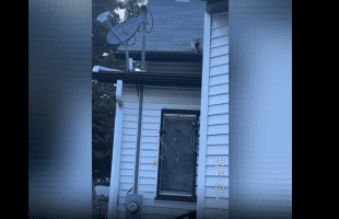 People Are Angry After A Man Shot And Killed A Raccoon With A Pellet Gun And It Started Having A Seizure