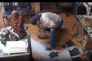 Owner Saved Choking Dog Just In Time