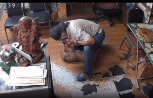 Owner Saved Choking Dog Just In Time