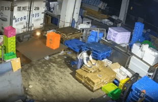 Unexperienced Driver Didn’t See Woman Behind Him