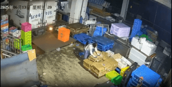 Unexperienced Driver Didn’t See Woman Behind Him