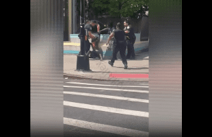 It Took 6 Cops To Take Down Mentally Insane Woman That Was Wilding On The Streets In New York