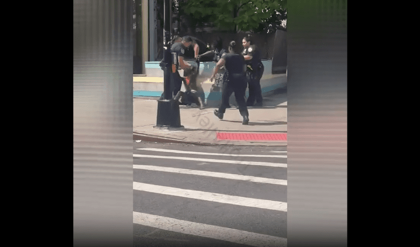 It Took 6 Cops To Take Down Mentally Insane Woman That Was Wilding On The Streets In New York