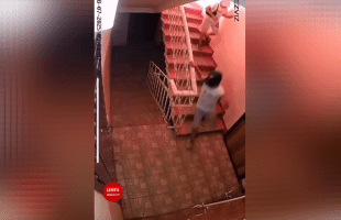 Two Kids With No Good Parenting Threw A Molotov At A Cat