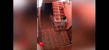 Two Kids With No Good Parenting Threw A Molotov At A Cat