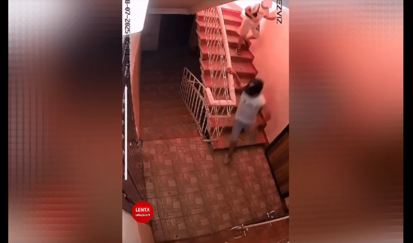 Two Kids With No Good Parenting Threw A Molotov At A Cat