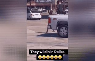 Dude Gets Mad After A 304 Expose Him In Front Of The Homies After She Claim She Played With His Azz During Services