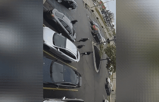 Eastpointe Girl Ran Back To Her Trunk To Get The Strap And Wiped All Of The Dudes That Was Jumping Her Brother At Footlocker