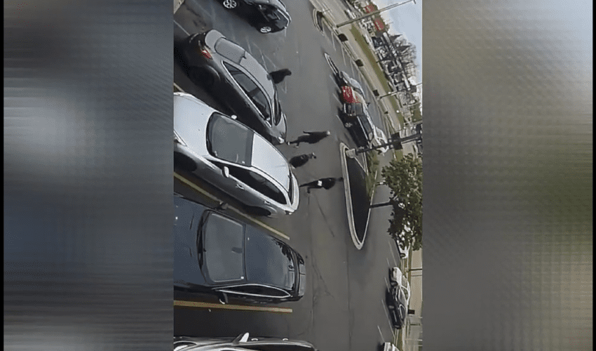 Eastpointe Girl Ran Back To Her Trunk To Get The Strap And Wiped All Of The Dudes That Was Jumping Her Brother At Footlocker