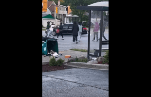 Dude Gets His Car GTAed After He Got Out Trying To Play Crazy For Attention