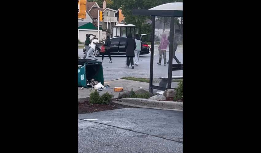 Dude Gets His Car GTAed After He Got Out Trying To Play Crazy For Attention