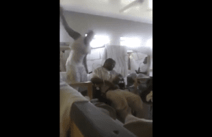 When Falling Asleep In Prison Goes Wrong