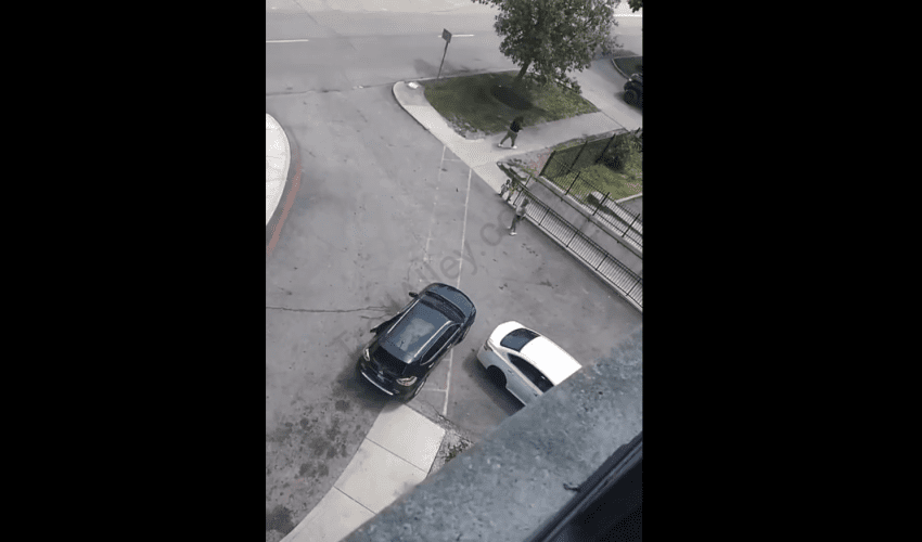 Mother Saves Herself Instead Of Her Child After Her Opps Attempted To Run Her Over During A Altercation